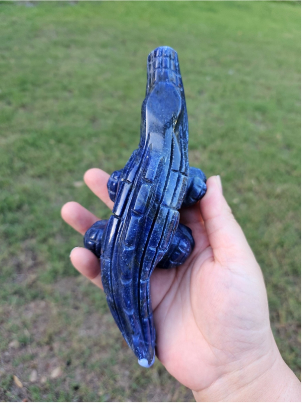 Sodalite alligator carving 6.4 in